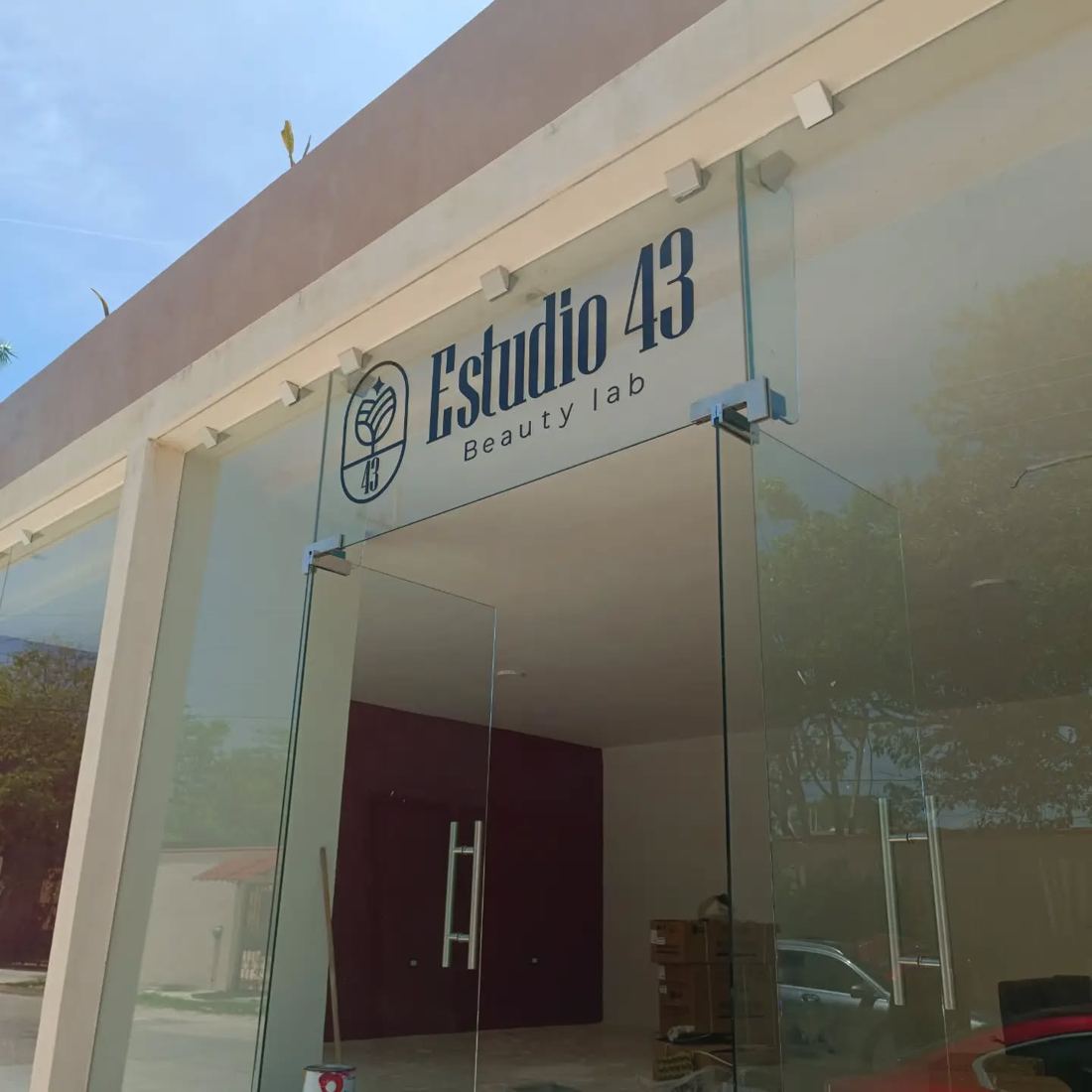 Vinil en cristal de entrada